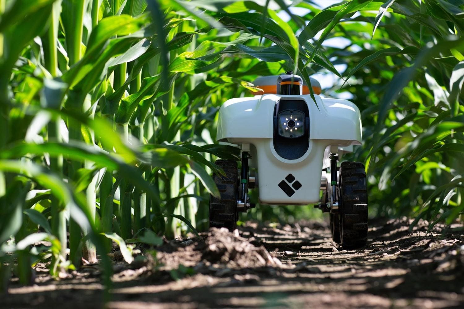 Inteligência artificial transformando o agro brasileiro
